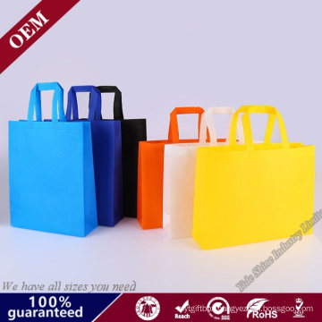 Customized Reusable PP Non Woven Bags for Shopping Packing with Die Cut Handle Flat Handle